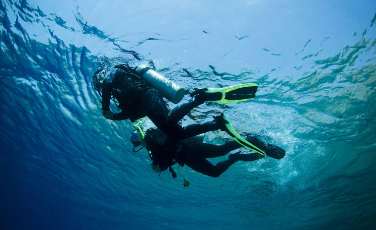 Two scuba divers in the sea