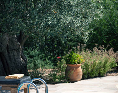 Vederi Estate Villa Melpomeni pool and garden